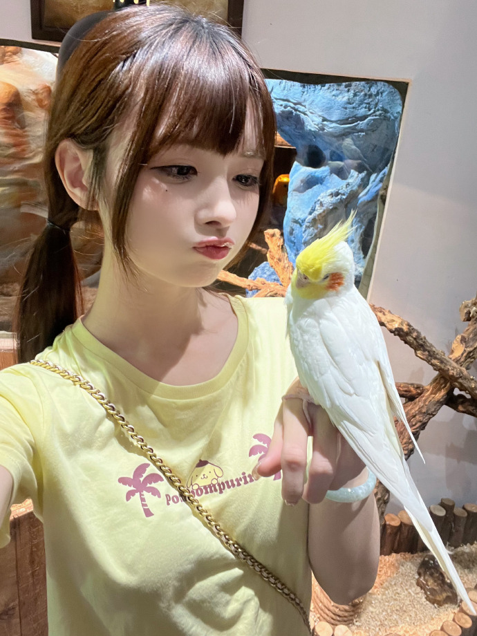 战争 类型