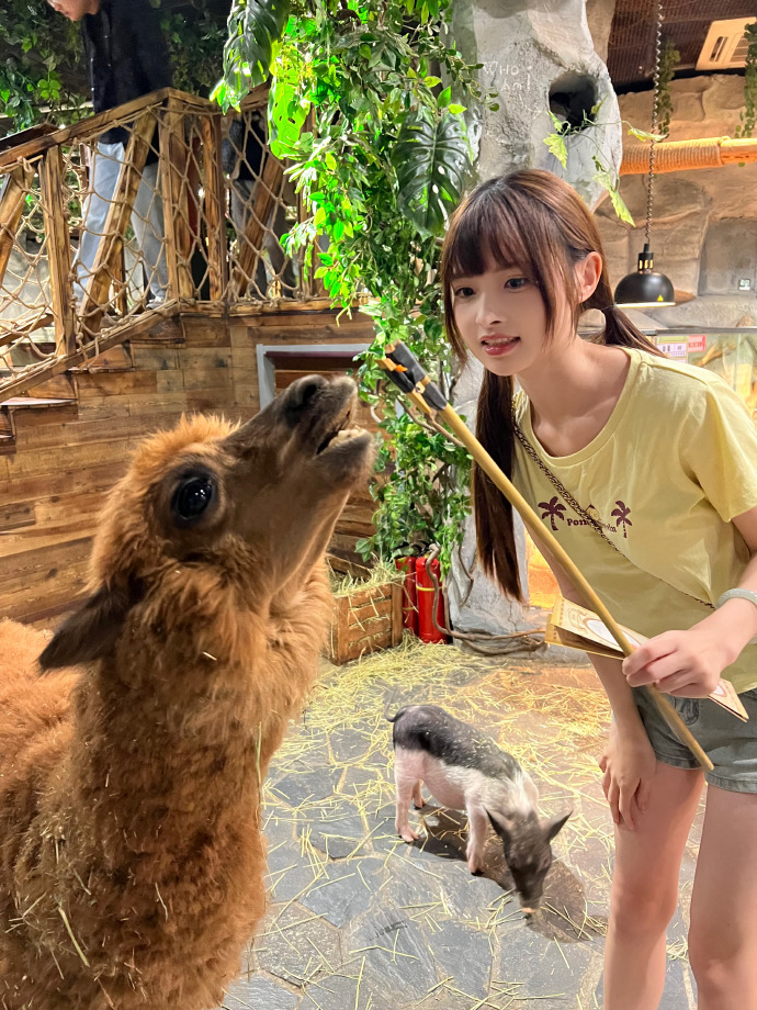 未生 封面